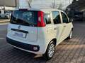 Fiat New Panda 1.2  S.&S. E6D-TEMP EASY 5 POSTI GUIDABILE NEOPA Blanc - thumbnail 5