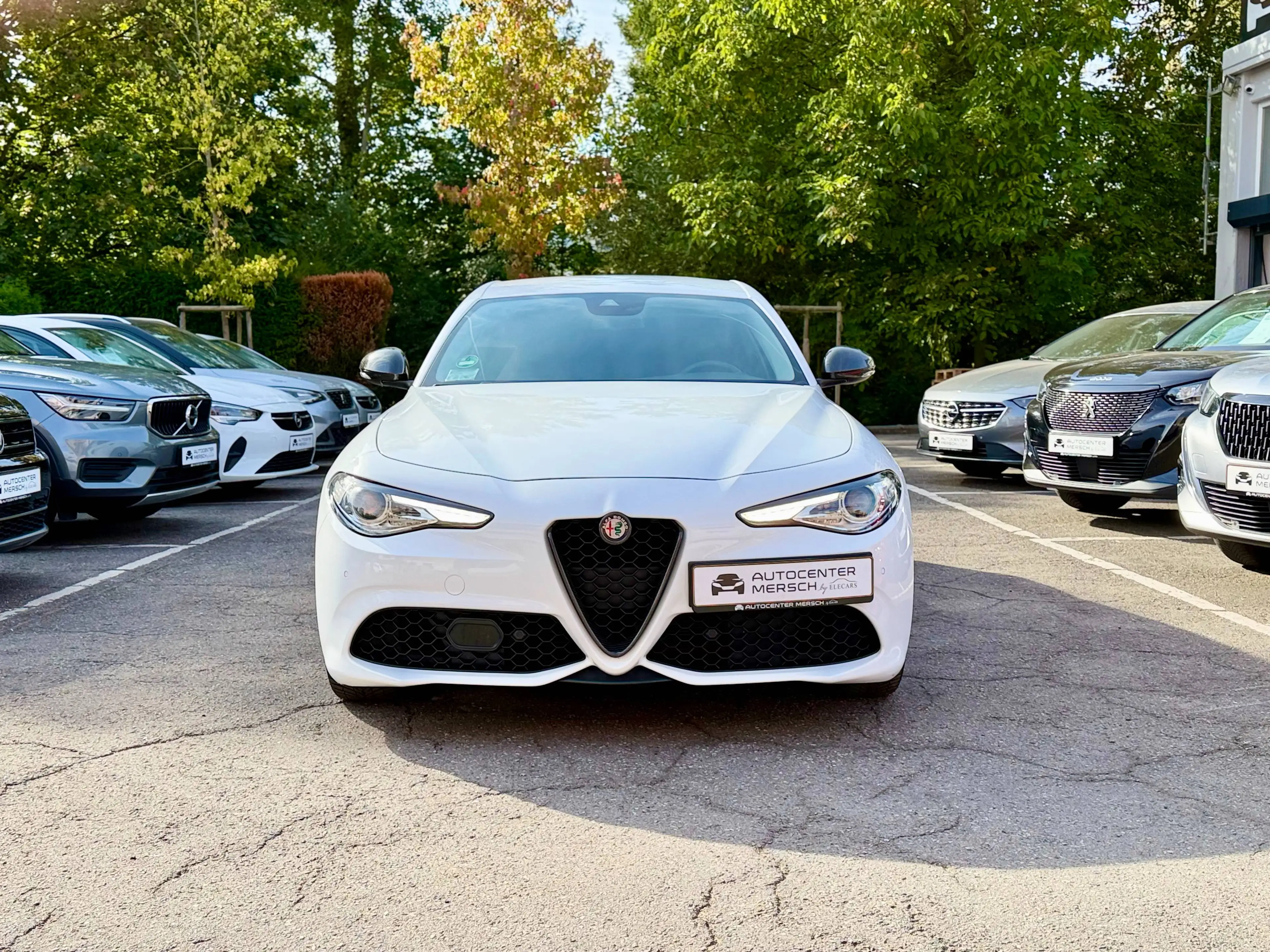Alfa Romeo Giulia Veloce Q4 — photo 2