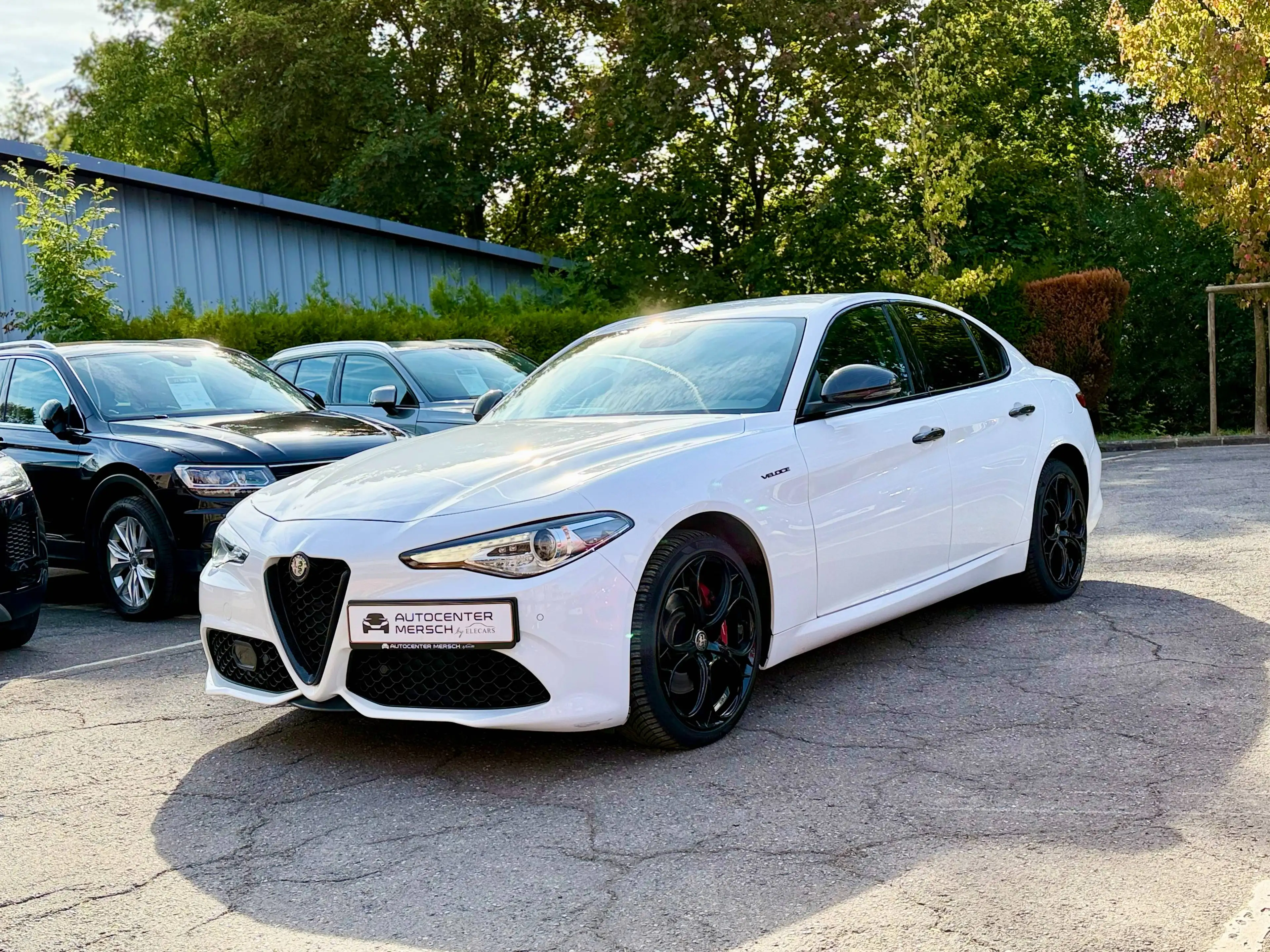 Alfa Romeo Giulia Veloce Q4 — photo 3
