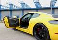 Porsche 718 GT4 Club Sport - thumbnail 12