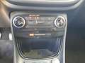 Ford Puma 1.0 EcoBoost Hybrid 125 CV S&S Titanium - thumbnail 11