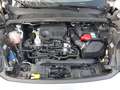 Ford Puma 1.0 EcoBoost Hybrid 125 CV S&S Titanium - thumbnail 8
