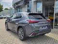 Lexus UX 300e UX 300h F Sport Design ACC FLA SpurH LM Grey - thumbnail 5