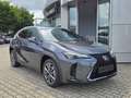Lexus UX 300e UX 300h F Sport Design ACC FLA SpurH LM Grey - thumbnail 1