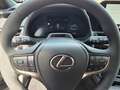 Lexus UX 300e UX 300h F Sport Design ACC FLA SpurH LM Grey - thumbnail 11
