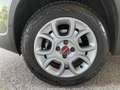 Fiat Panda 0.9 TwinAir Turbo S&S 4x4 Verde - thumbnail 15