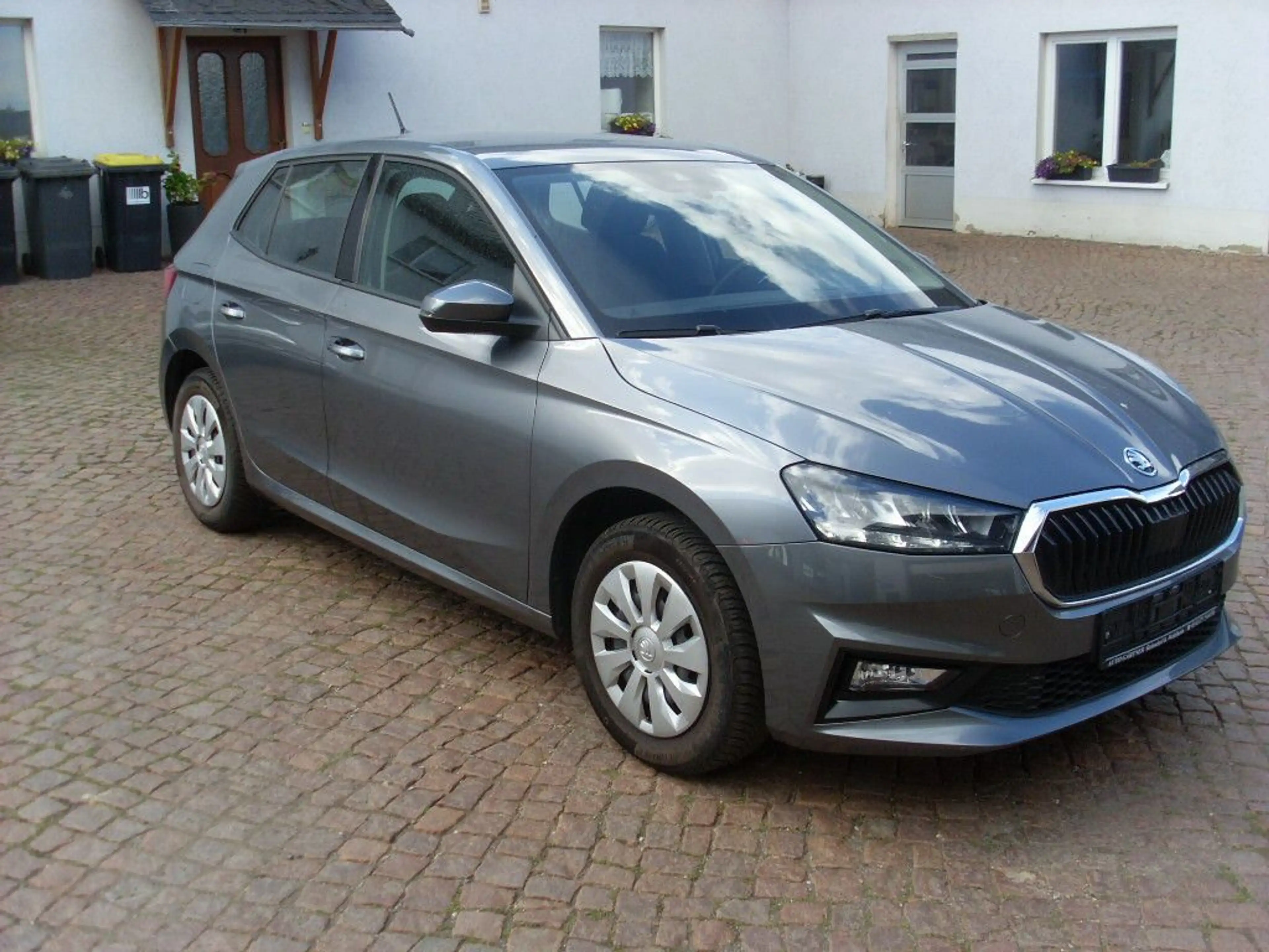 Skoda Fabia Selection — photo 2