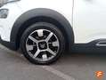 Citroen C4 Cactus 1.5BlueHDi S&S Shine 100 Blanco - thumbnail 19