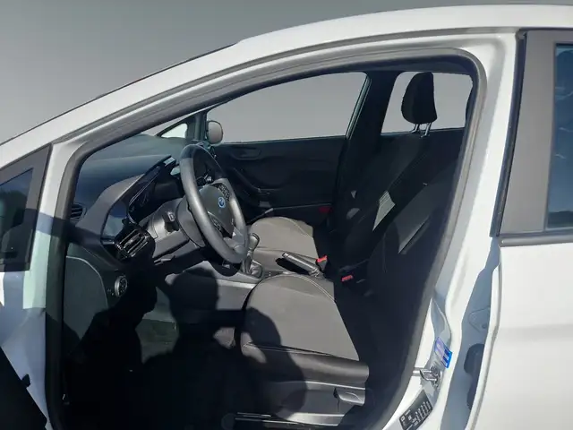 Ford Fiesta view 10
