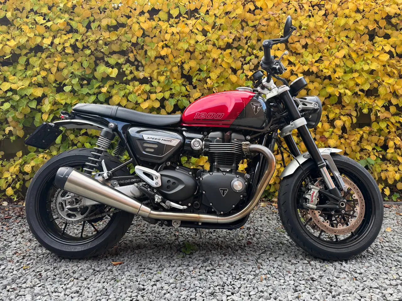Triumph Speed Twin