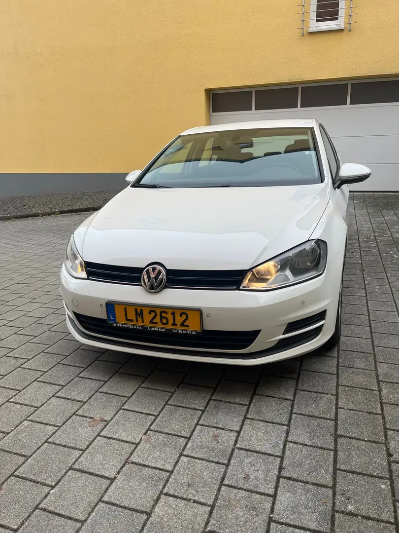 Volkswagen Golf 1.6 TDI 105 BlueMotion Technology FAP 4Motion Cara Blanc - 2