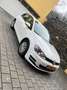 Volkswagen Golf 1.6 TDI 105 BlueMotion Technology FAP 4Motion Cara Blanc - thumbnail 1