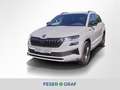 Skoda Karoq 2.0 TDI Sportline DSG AHK Kessy Navi Rüka Grijs - thumbnail 1