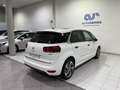 Citroen C4 INTENSIVE PLUS 2.0 BLUE HDI 150CV 5P Weiß - thumbnail 24