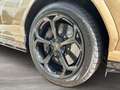 Lamborghini Urus Bronze Hypnos Bang & Olufsen Bronzo - thumbnail 10