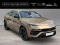 Lamborghini Urus Bronze Hypnos Bang & Olufsen Bronzo - thumbnail 2