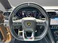 Lamborghini Urus Bronze Hypnos Bang & Olufsen Bronzo - thumbnail 14