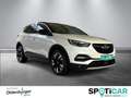 Opel Grandland X Innovation inkl. Kamera / el. Heckklappe / Navi Blanco - thumbnail 3