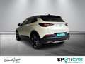 Opel Grandland X Innovation inkl. Kamera / el. Heckklappe / Navi Blanco - thumbnail 6