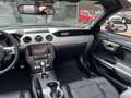 Ford Mustang Convertible 5.0 GT CLIMA / CRUISE / NAVI / ACHTERU Чорний - thumbnail 14