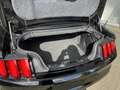 Ford Mustang Convertible 5.0 GT CLIMA / CRUISE / NAVI / ACHTERU Fekete - thumbnail 9