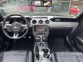 Ford Mustang Convertible 5.0 GT CLIMA / CRUISE / NAVI / ACHTERU Siyah - thumbnail 12