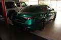 Alfa Romeo Giulia Quadrifoglio AKRAPO./SPARCO Grün - thumbnail 5