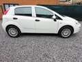 Fiat Punto Punto 1.2i Street - thumbnail 5