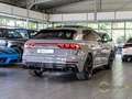 Audi RS Q8 EU-Fahrzeug performance Carbon Pano AHK Massage HU Grau - thumbnail 9