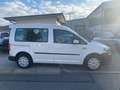 Volkswagen Caddy 2,0TDI 75kW BMT Comfortline 5-Sitz Blanco - thumbnail 7