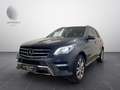 Mercedes-Benz ML 250 CDI AMG/2.HD/PANO/NAPPA/STANDHZG. /AHK Grau - thumbnail 1