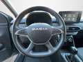 Dacia Jogger Hybrid Extreme Go 103kW 7pl. Verde - thumbnail 10