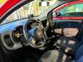 Fiat Panda Panda III 2016 1.0 hybrid City Cross s Rosso - thumbnail 7