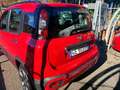 Fiat Panda Panda III 2016 1.0 hybrid City Cross s Rosso - thumbnail 4