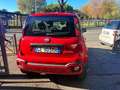 Fiat Panda Panda III 2016 1.0 hybrid City Cross s Rosso - thumbnail 2