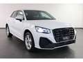 Audi Q2 35 TFSI S-line S-tronic,Navi,Matrix,RFK Weiß - thumbnail 3