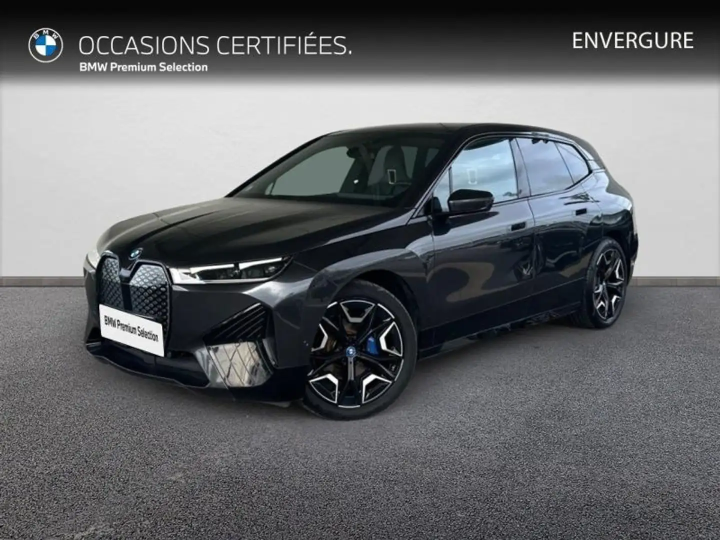 BMW iX xDrive40 326ch Gris - 1