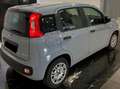 Fiat Panda Hybrid 1.0 Gse 70 ch Grau - thumbnail 5
