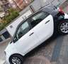 smart forFour Forfour II 2015 1.0 Youngster 71cv my18 Bianco - thumbnail 3