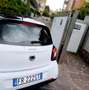 smart forFour Forfour II 2015 1.0 Youngster 71cv my18 Bianco - thumbnail 5