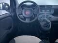 Fiat Panda 1.2 Lounge Schwarz - thumbnail 3