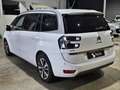 Citroen C4 Grand Picasso 1.6BlueHDI S&S Shine 120 Weiß - thumbnail 4