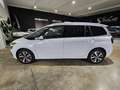 Citroen C4 Grand Picasso 1.6BlueHDI S&S Shine 120 Weiß - thumbnail 3