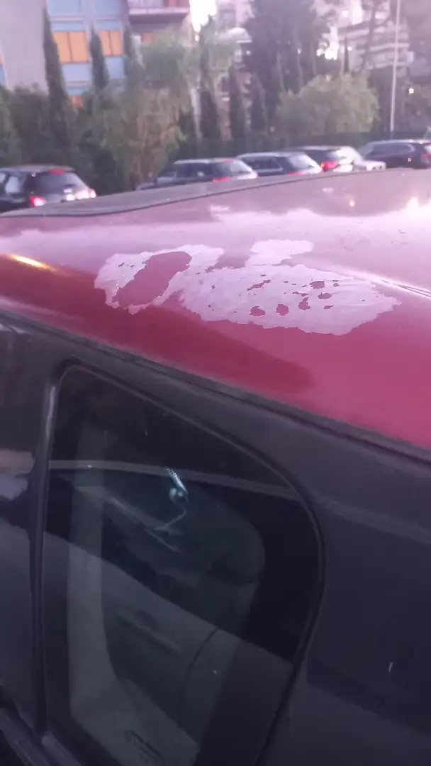 Grecav Sonique Schwarz - 2