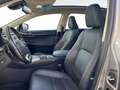 Lexus NX 300h 300h 2.5 Luxury 4WD CVT Argento - thumbnail 7