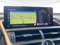 Lexus NX 300h 300h 2.5 Luxury 4WD CVT Argento - thumbnail 11