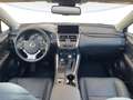 Lexus NX 300h 300h 2.5 Luxury 4WD CVT Argento - thumbnail 9