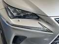 Lexus NX 300h 300h 2.5 Luxury 4WD CVT Argento - thumbnail 6