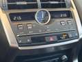 Lexus NX 300h 300h 2.5 Luxury 4WD CVT Argento - thumbnail 12