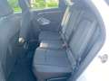 Audi Q3 Q3 SPB 35 TDI quattro S tronic Business Plus Bianco - thumbnail 8